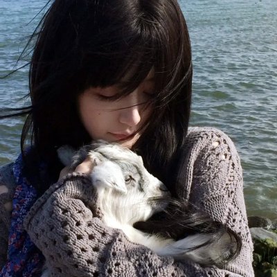 炫击勇者之炫击战卡 海报